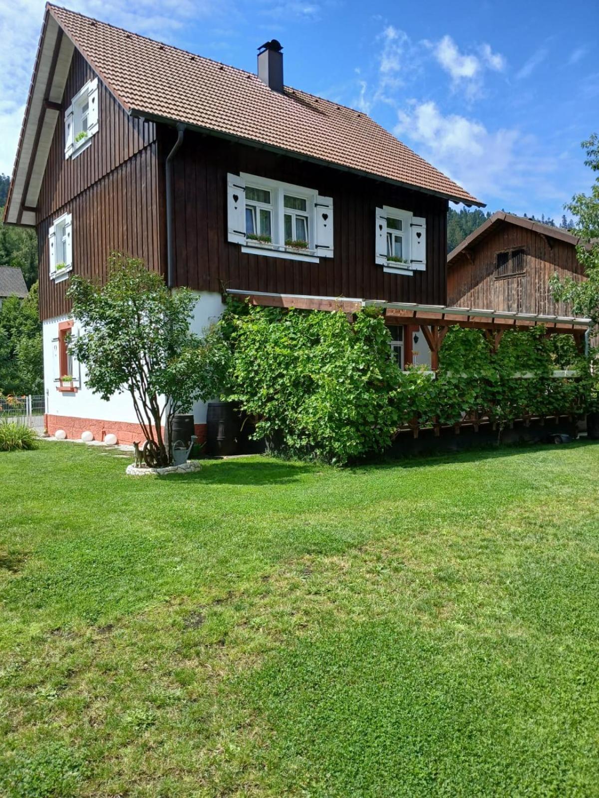 Familienfreundliches-Luxus-Bahnwaerterhaus Villa Schiltach Eksteriør billede